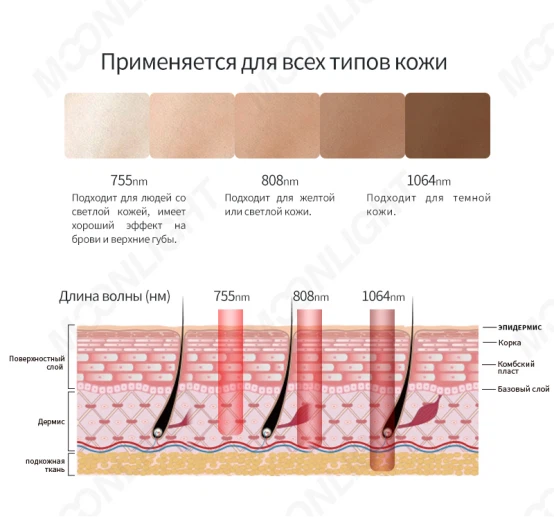 product-554-517 product-554-517