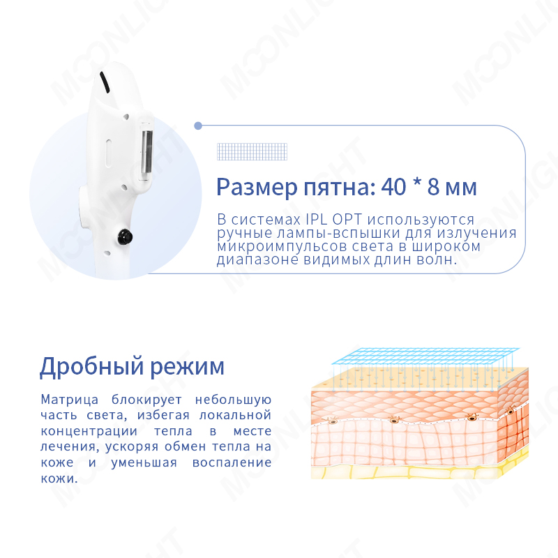 product-800-800 product-800-800